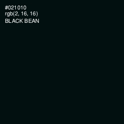 #021010 - Black Bean Color Image